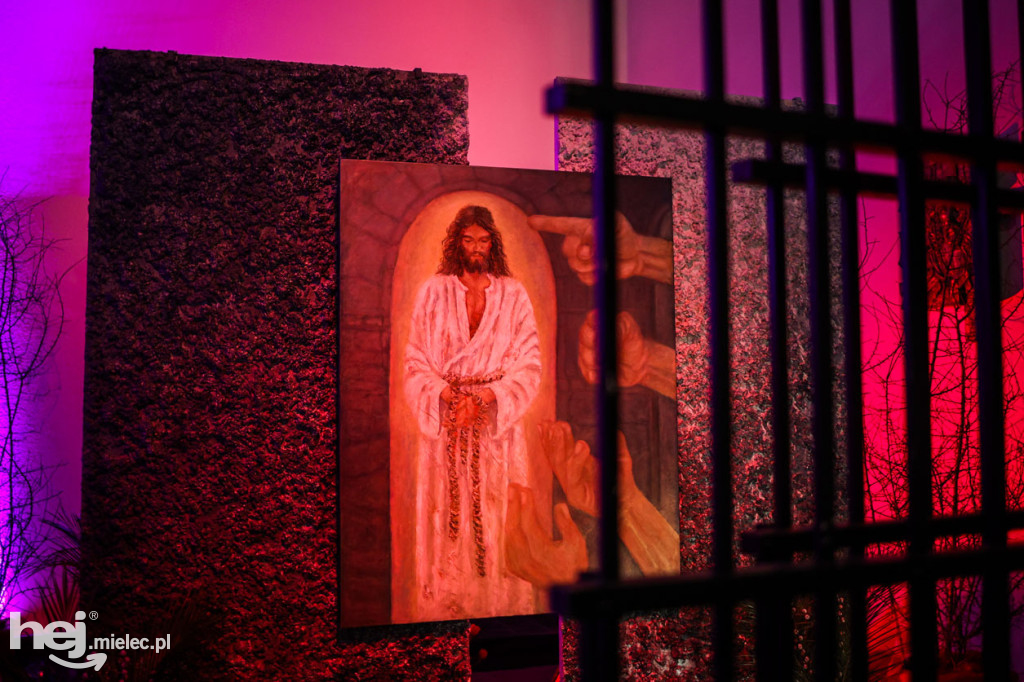 Wielki Piątek w mieleckich świątyniach