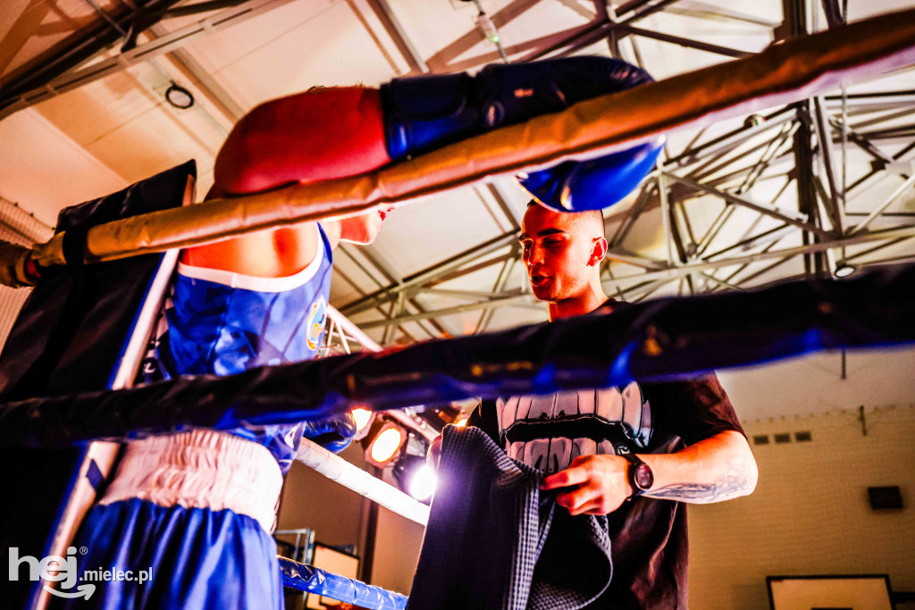 MSB Region Boxing Cup