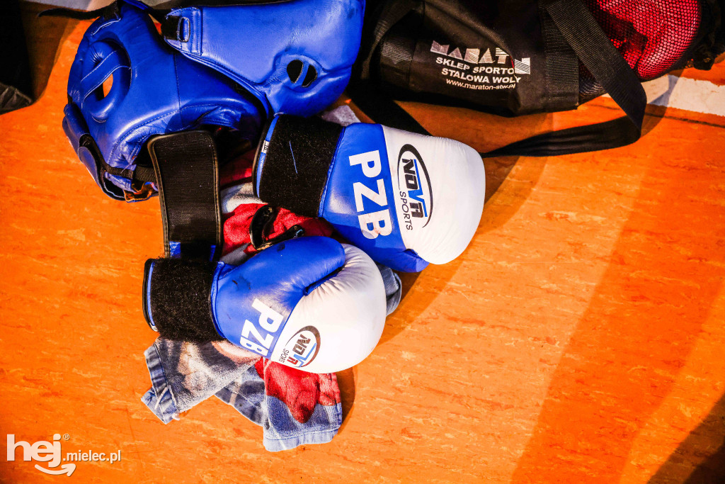 MSB Region Boxing Cup