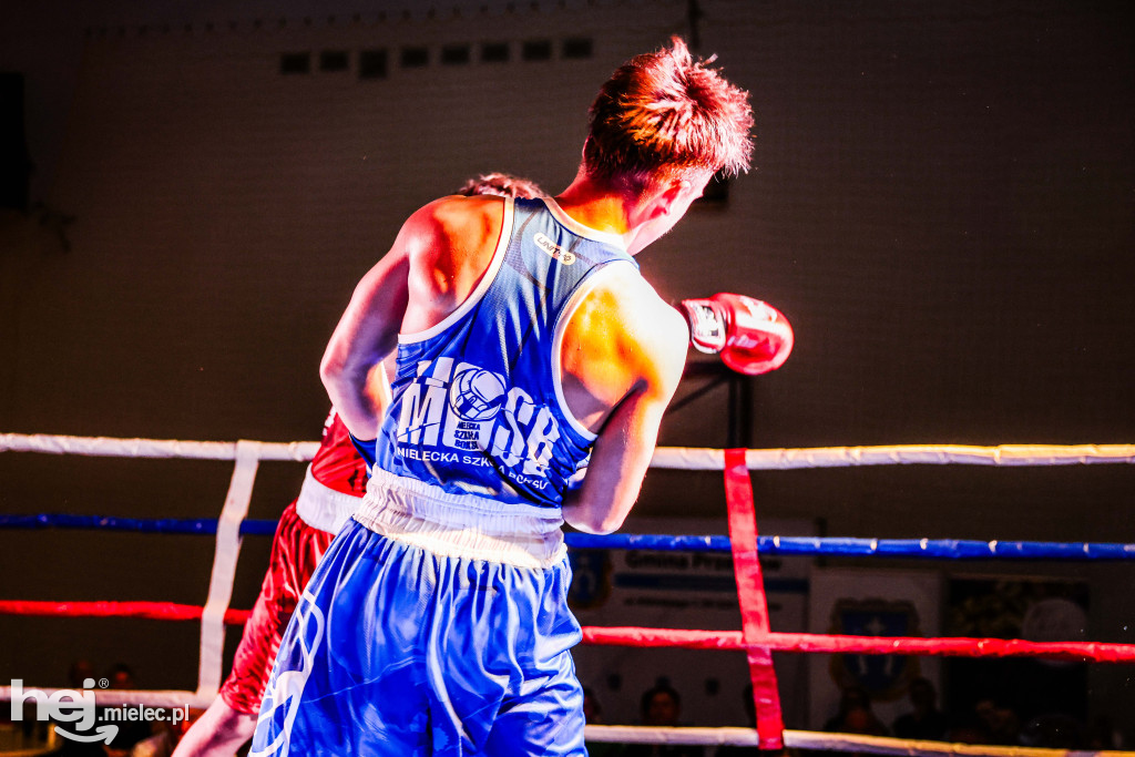 MSB Region Boxing Cup