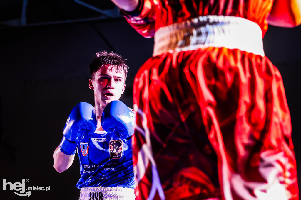 MSB Region Boxing Cup