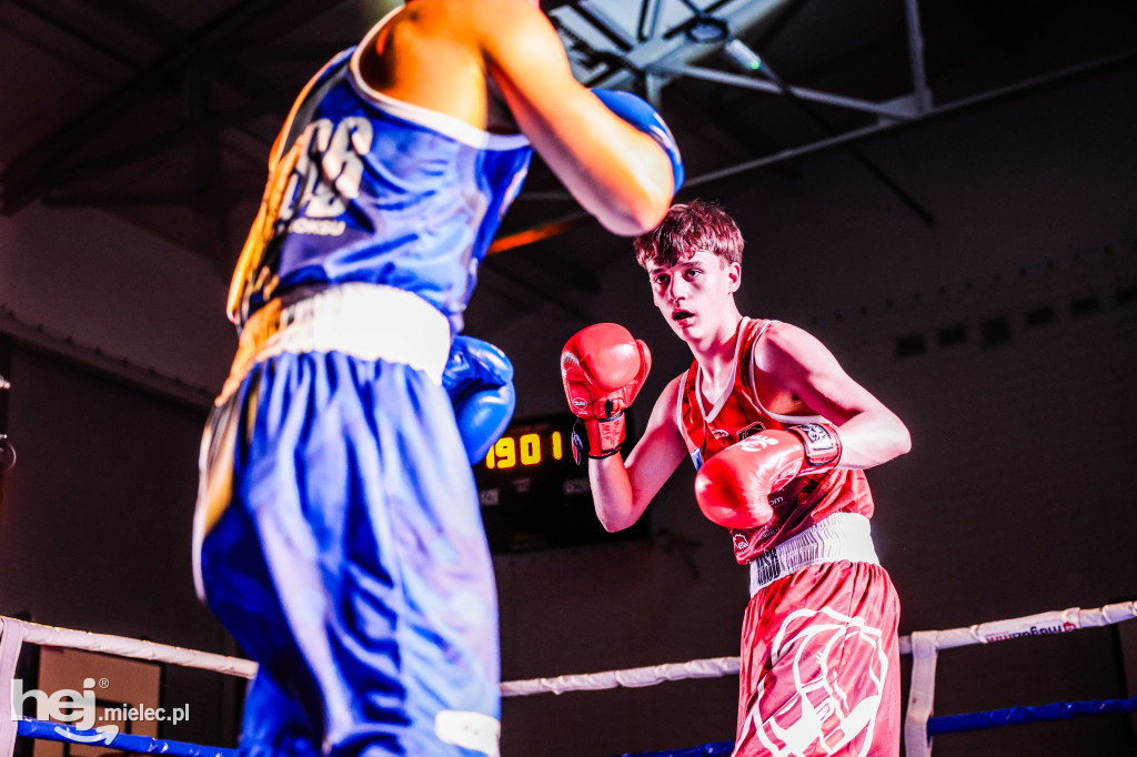MSB Region Boxing Cup