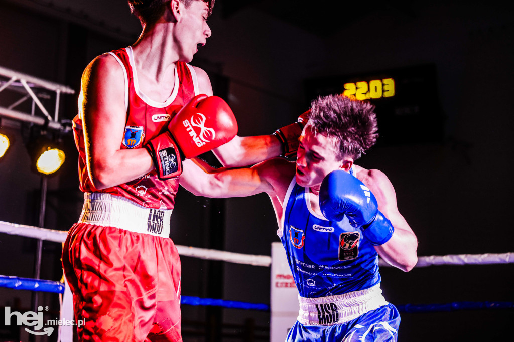 MSB Region Boxing Cup
