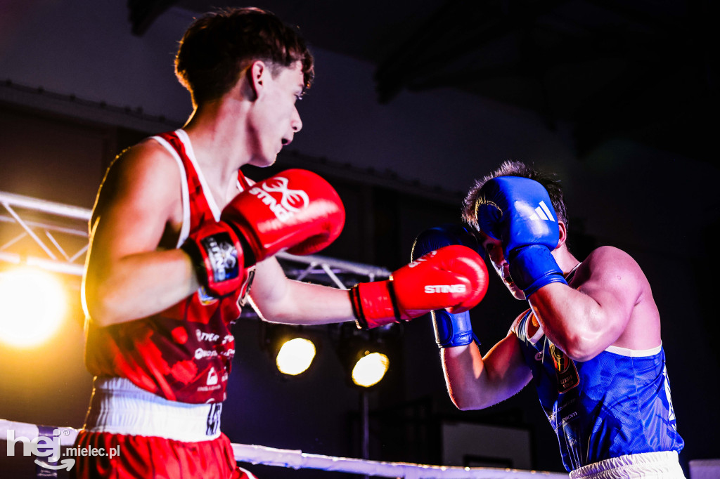 MSB Region Boxing Cup