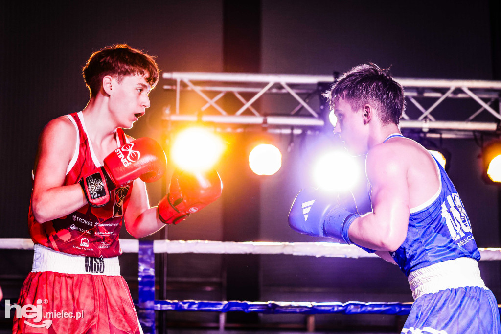 MSB Region Boxing Cup