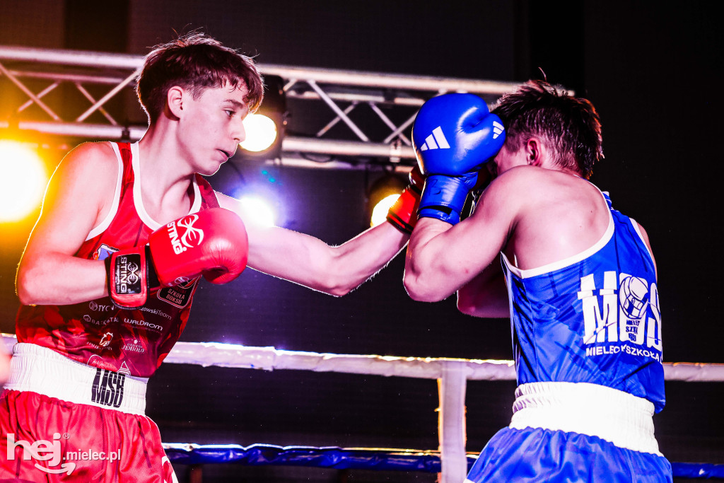 MSB Region Boxing Cup