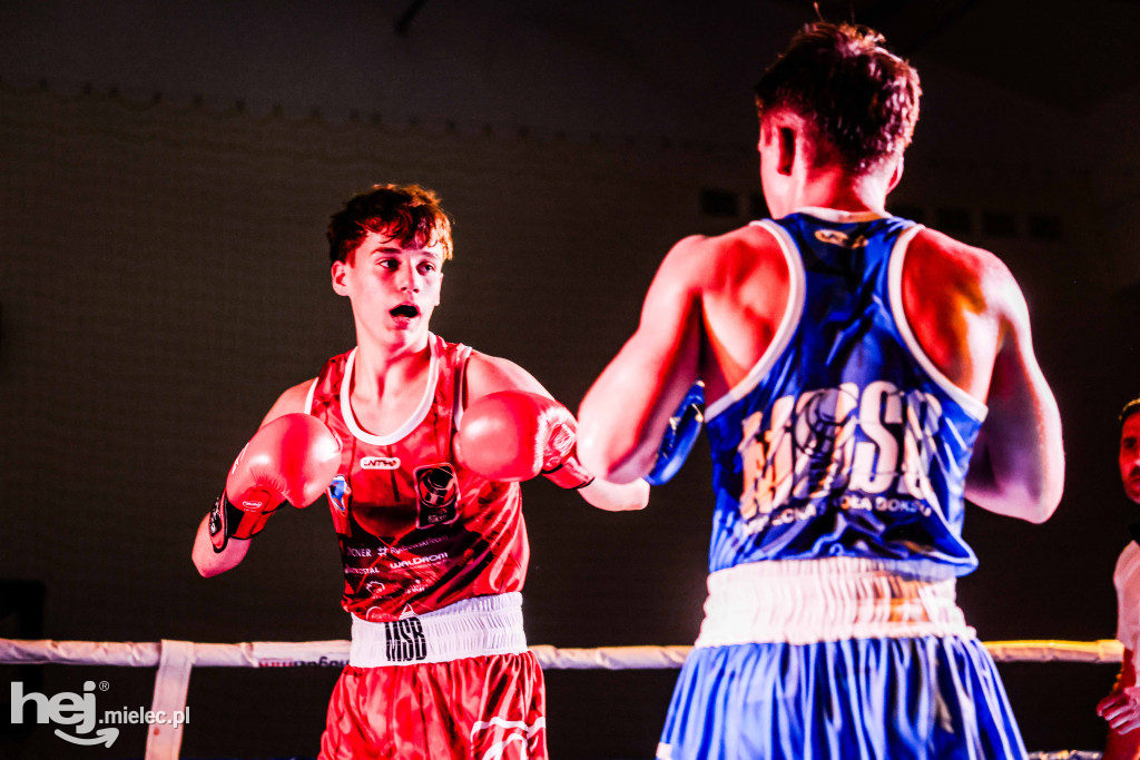 MSB Region Boxing Cup