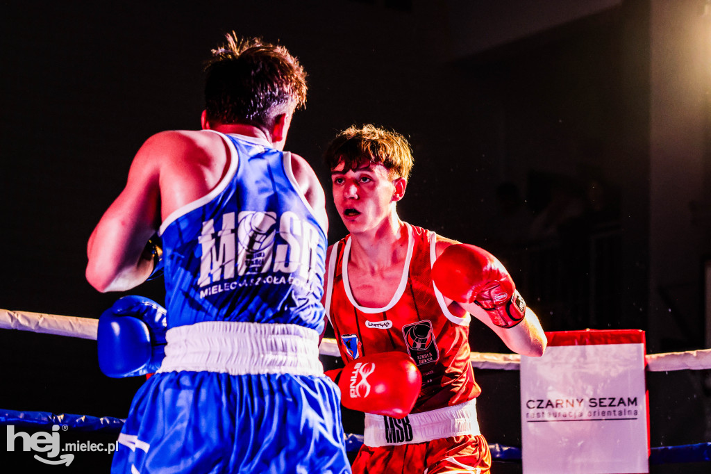 MSB Region Boxing Cup