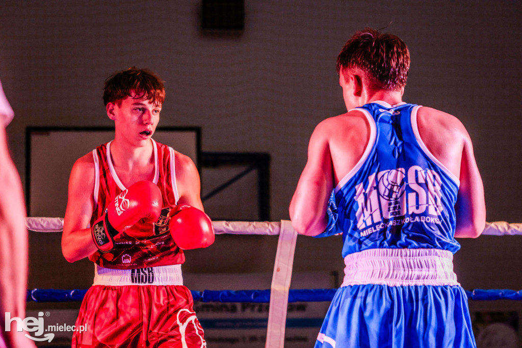MSB Region Boxing Cup