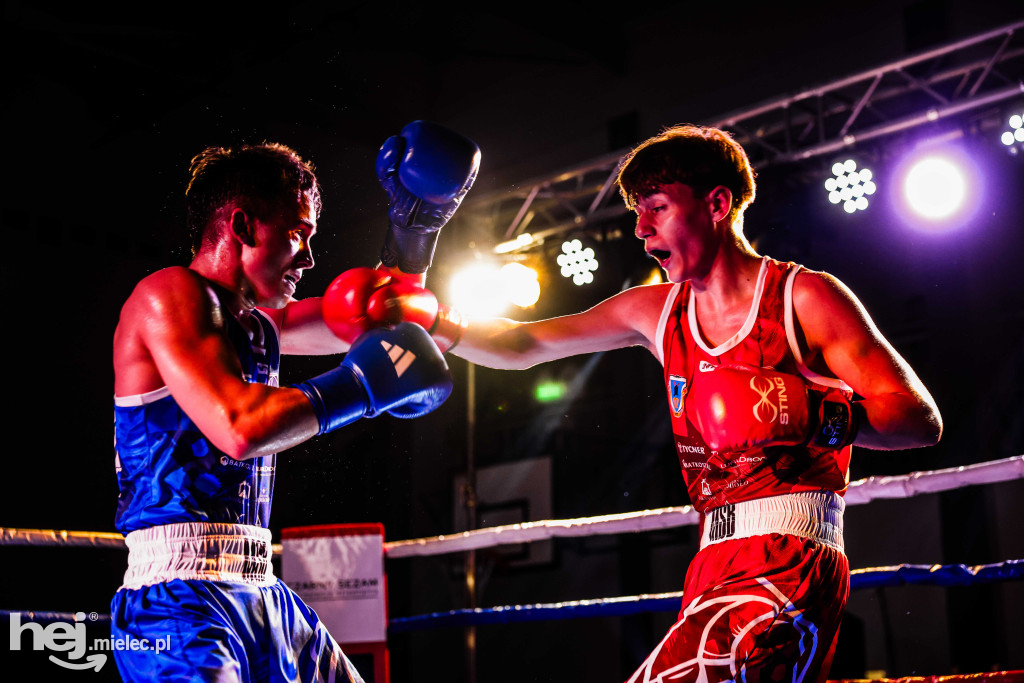 MSB Region Boxing Cup