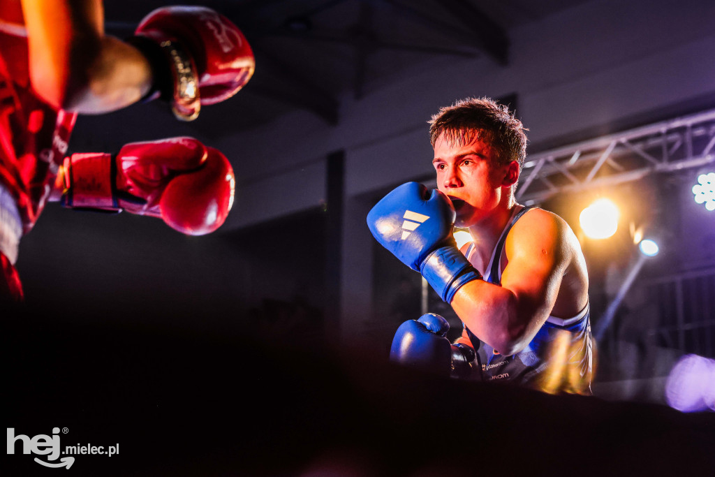 MSB Region Boxing Cup