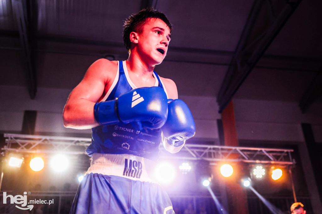 MSB Region Boxing Cup