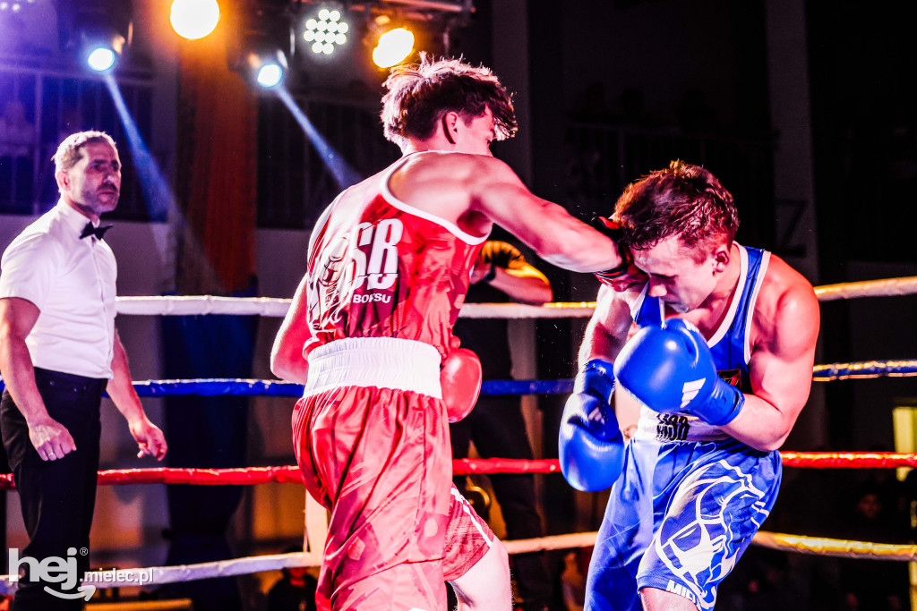 MSB Region Boxing Cup