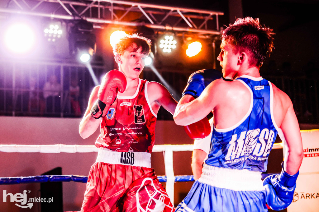 MSB Region Boxing Cup