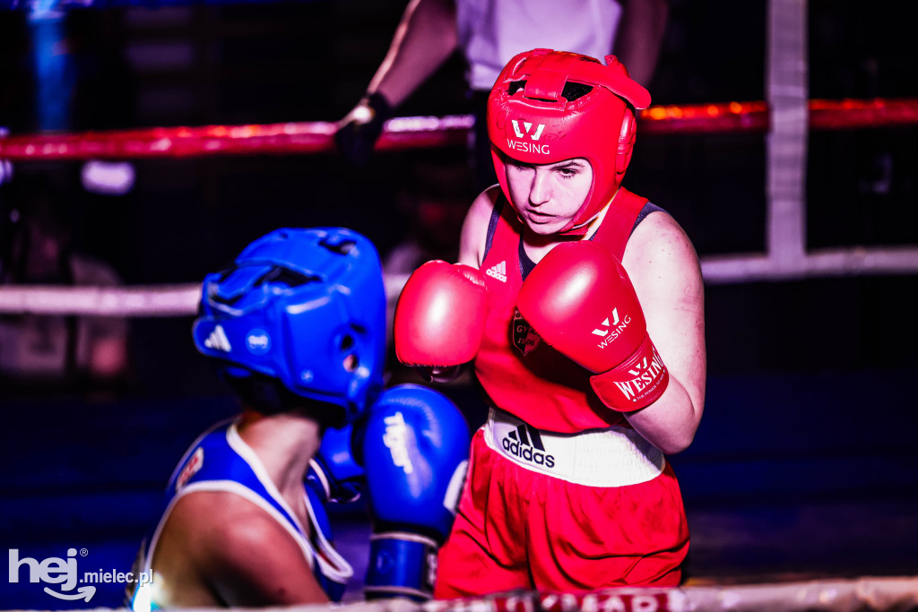 MSB Region Boxing Cup