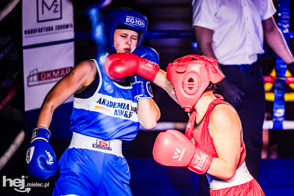 MSB Region Boxing Cup