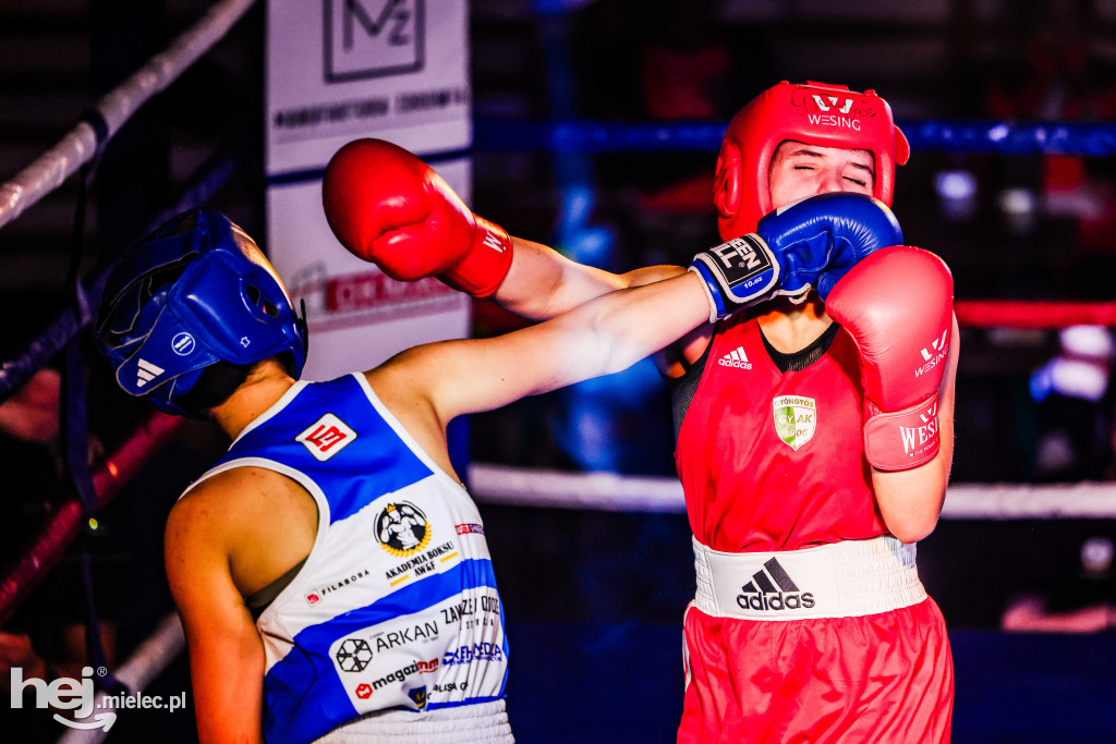 MSB Region Boxing Cup