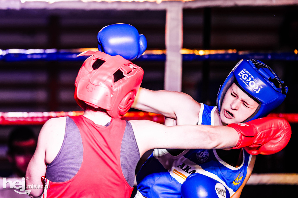 MSB Region Boxing Cup