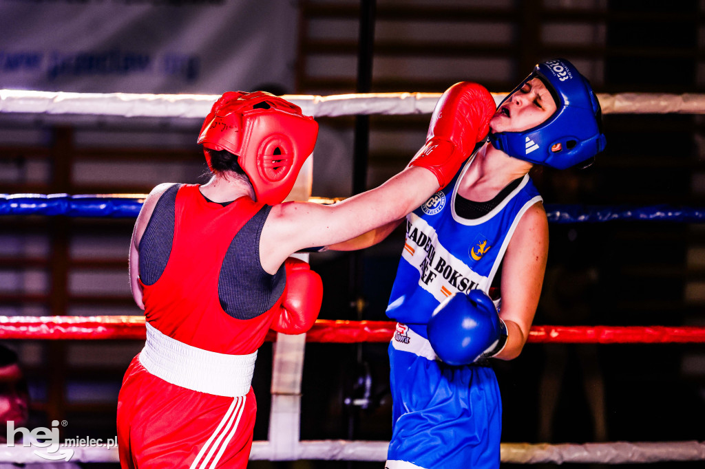 MSB Region Boxing Cup
