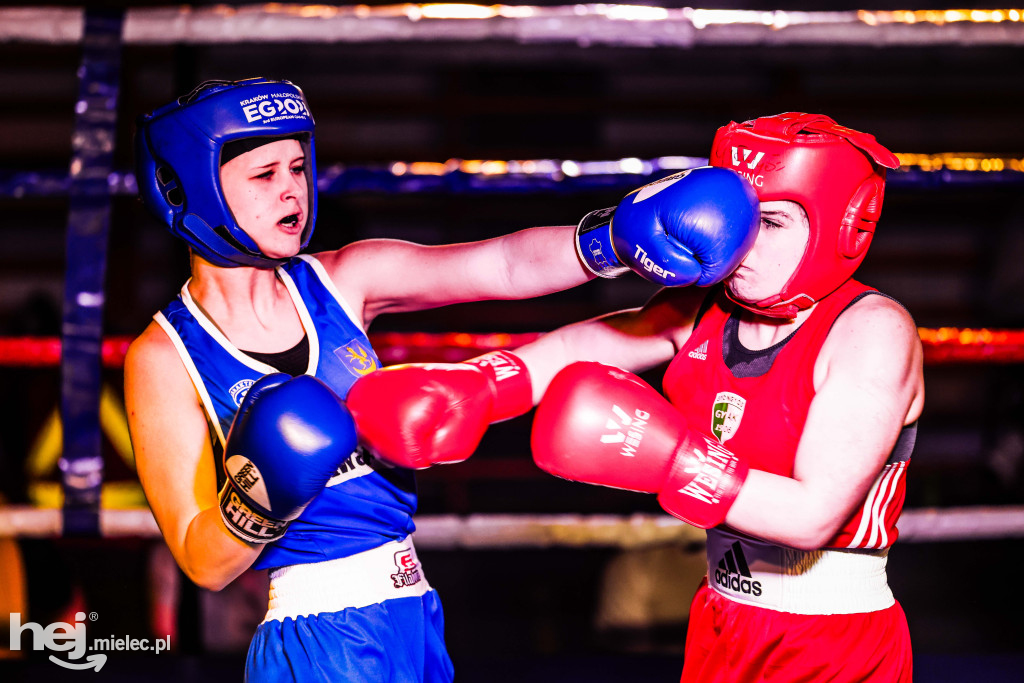 MSB Region Boxing Cup