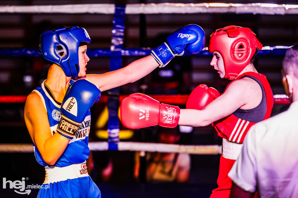 MSB Region Boxing Cup