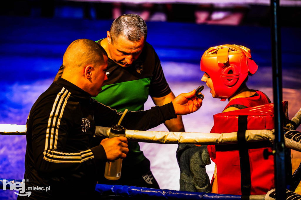 MSB Region Boxing Cup