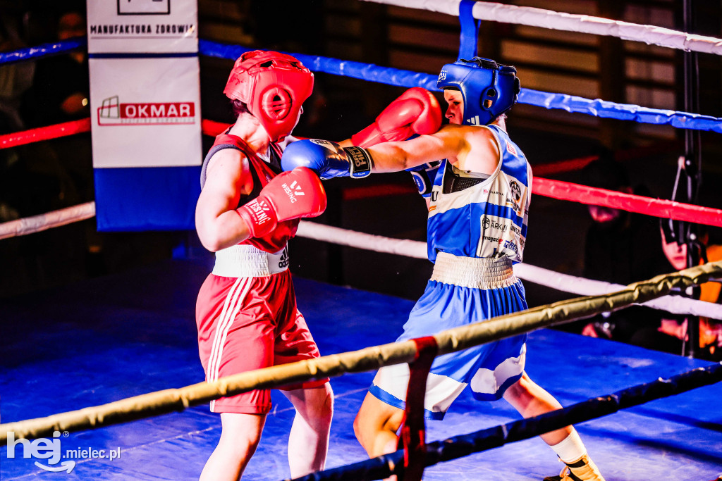 MSB Region Boxing Cup
