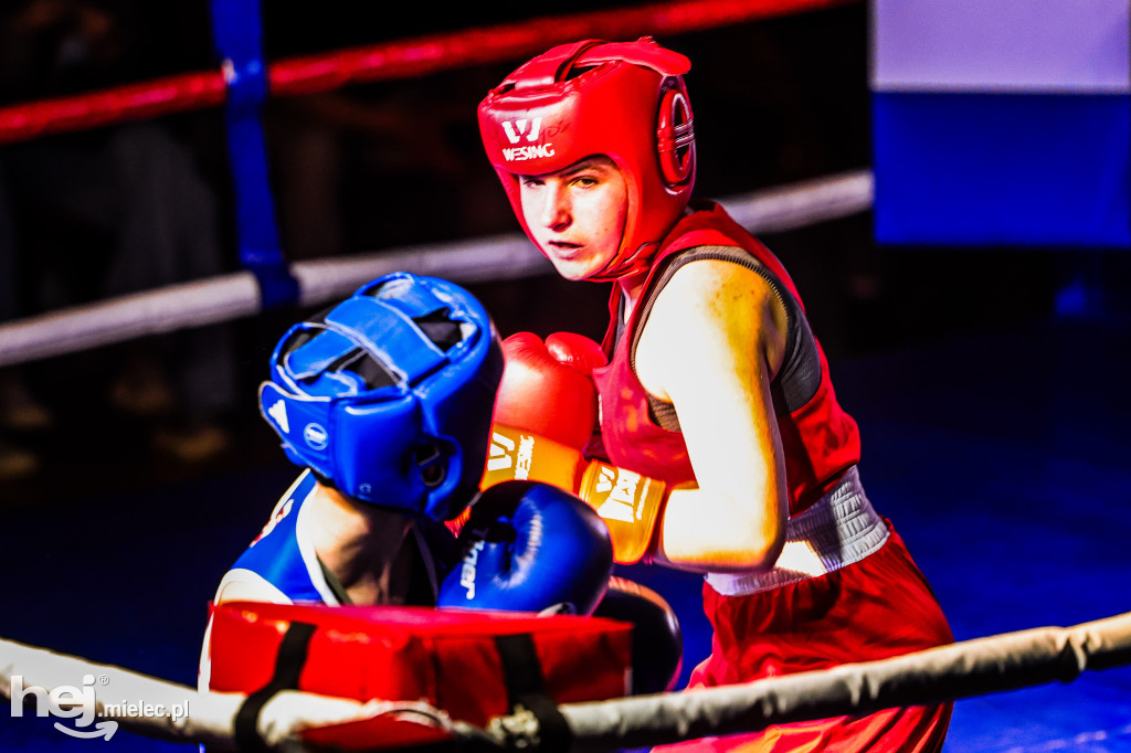 MSB Region Boxing Cup