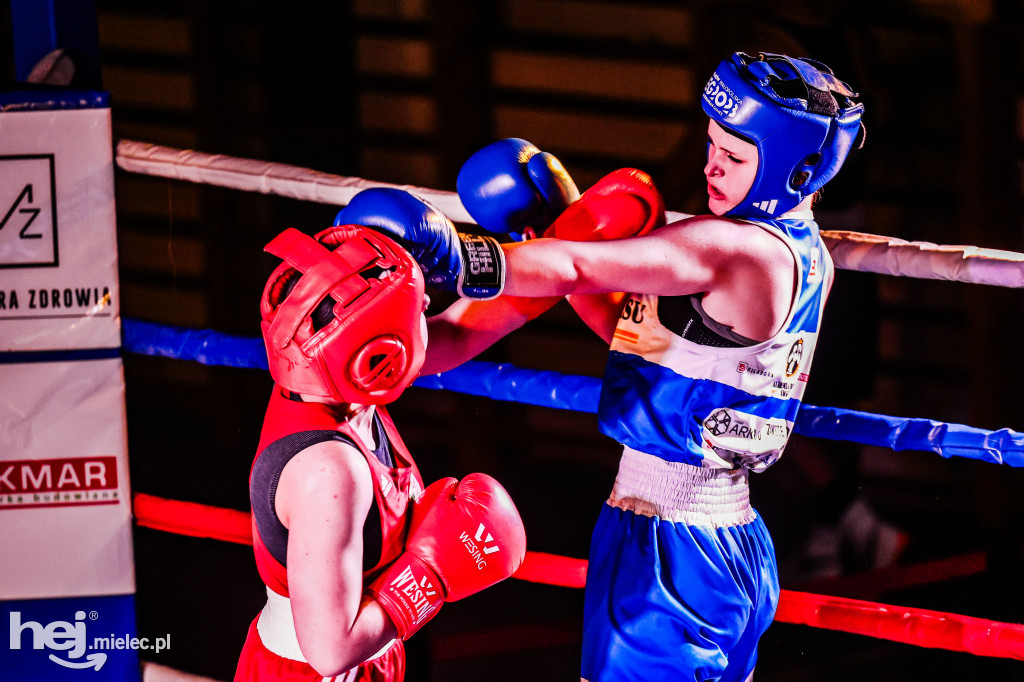 MSB Region Boxing Cup