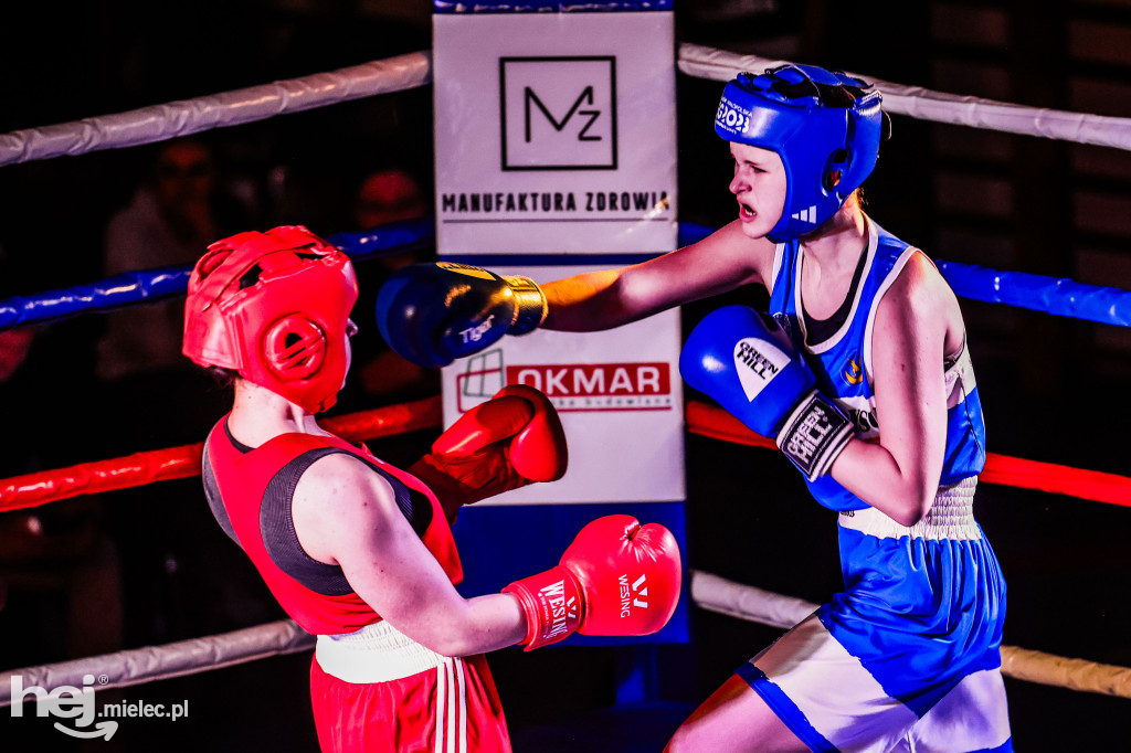 MSB Region Boxing Cup
