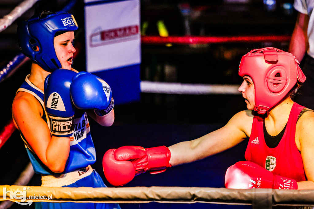 MSB Region Boxing Cup