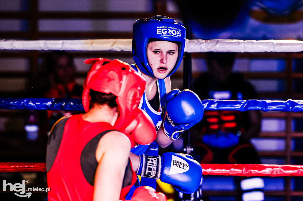 MSB Region Boxing Cup