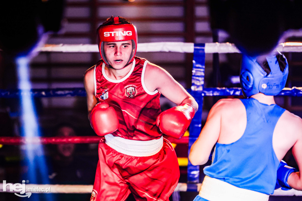 MSB Region Boxing Cup