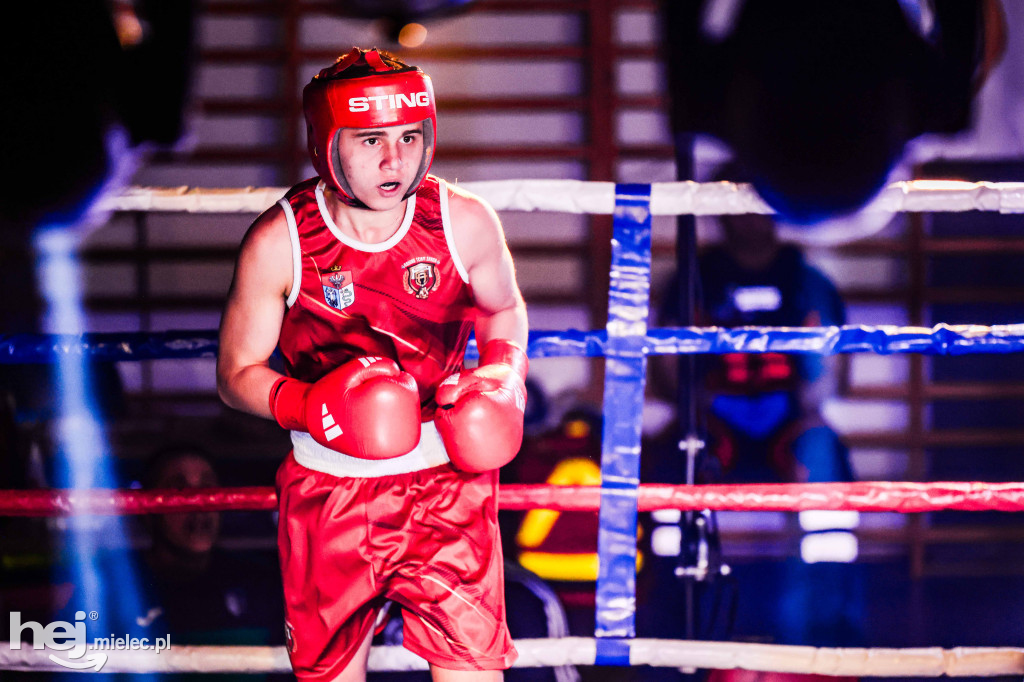 MSB Region Boxing Cup