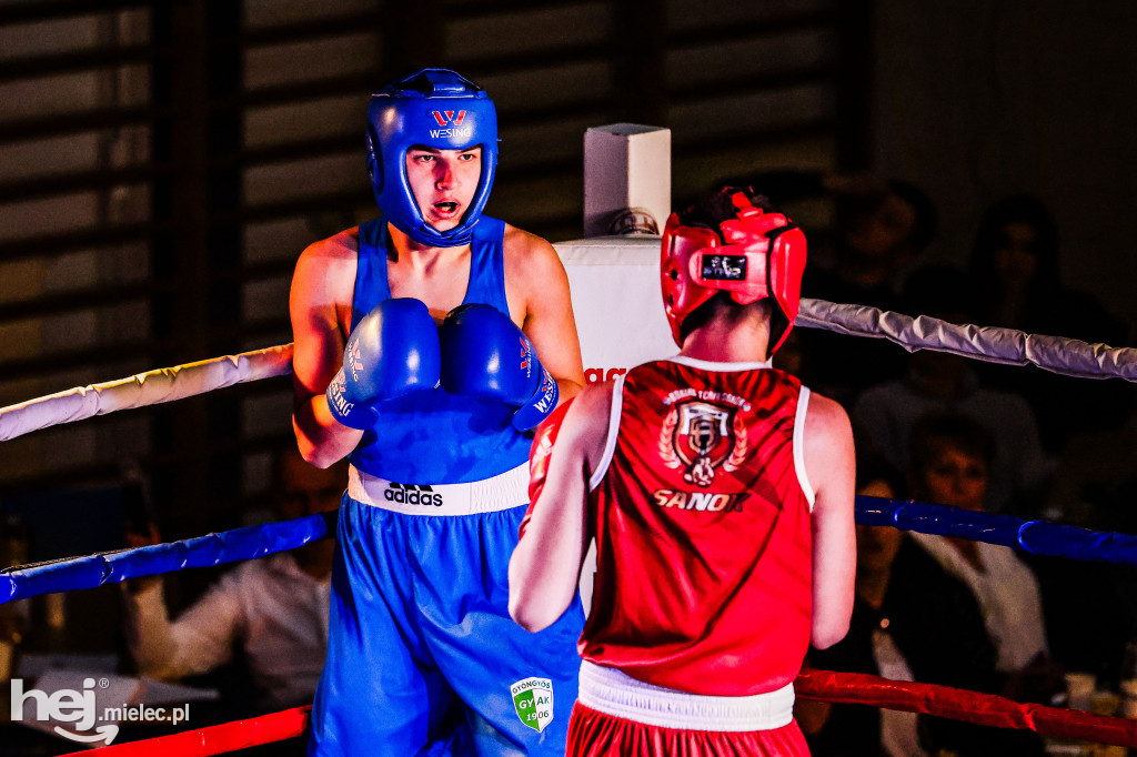 MSB Region Boxing Cup