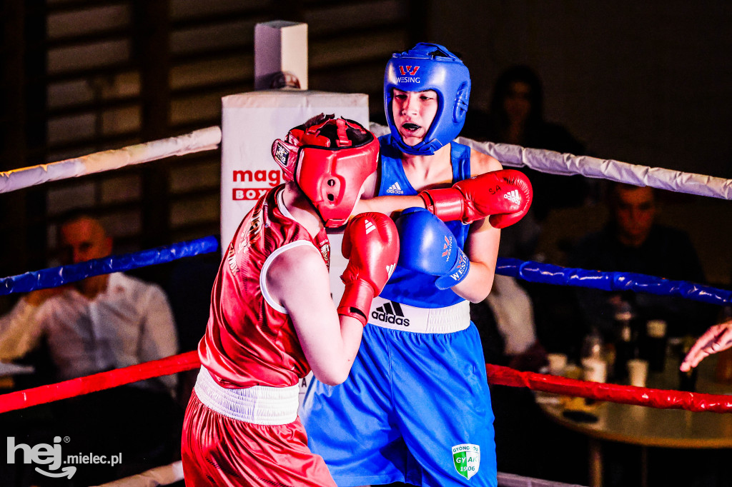 MSB Region Boxing Cup
