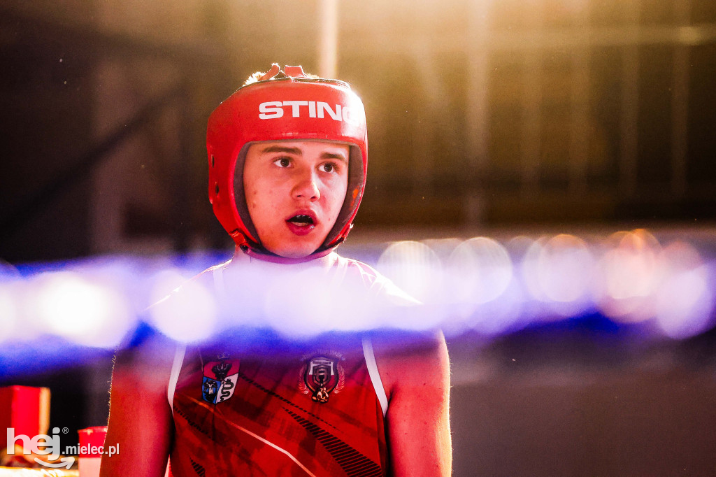 MSB Region Boxing Cup