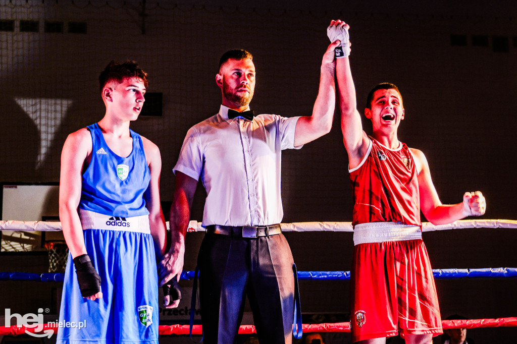 MSB Region Boxing Cup