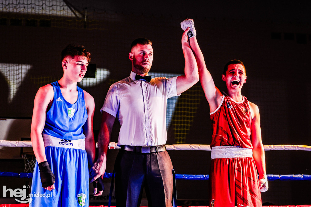 MSB Region Boxing Cup