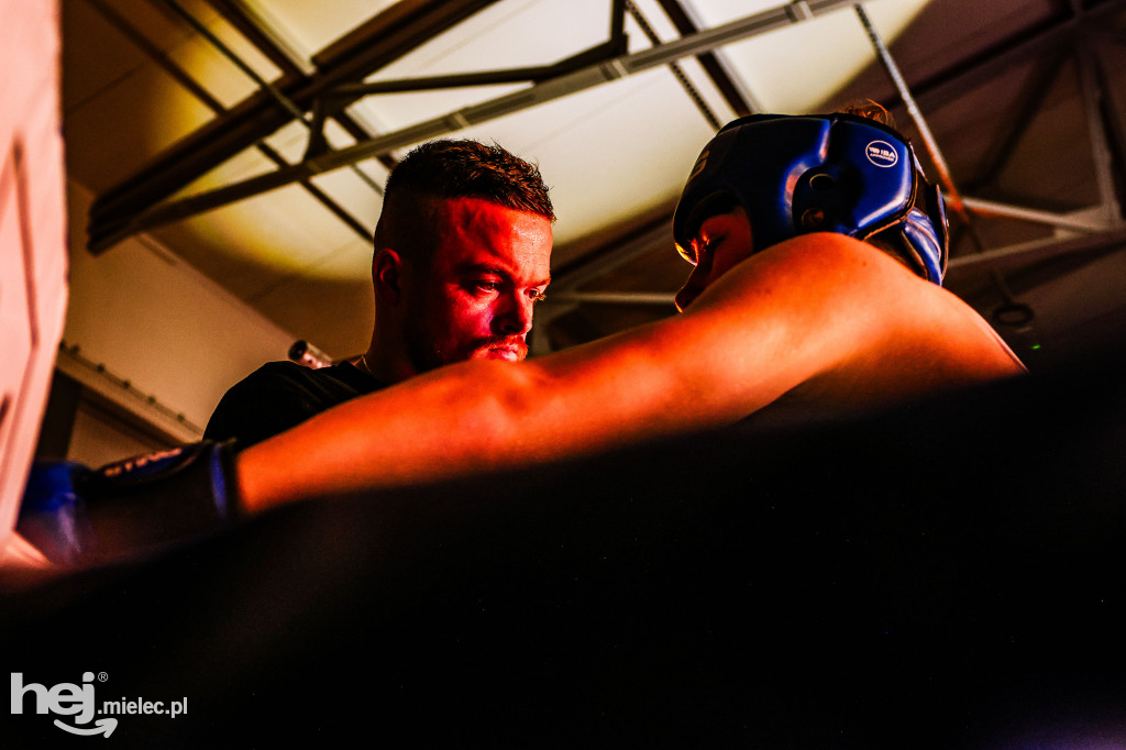 MSB Region Boxing Cup