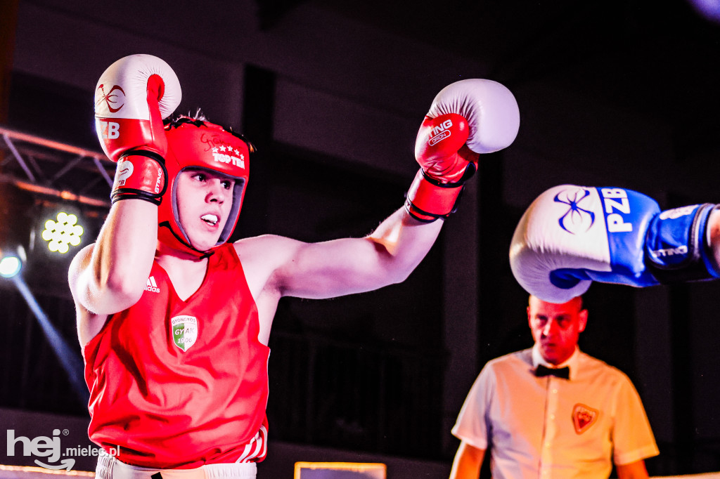 MSB Region Boxing Cup