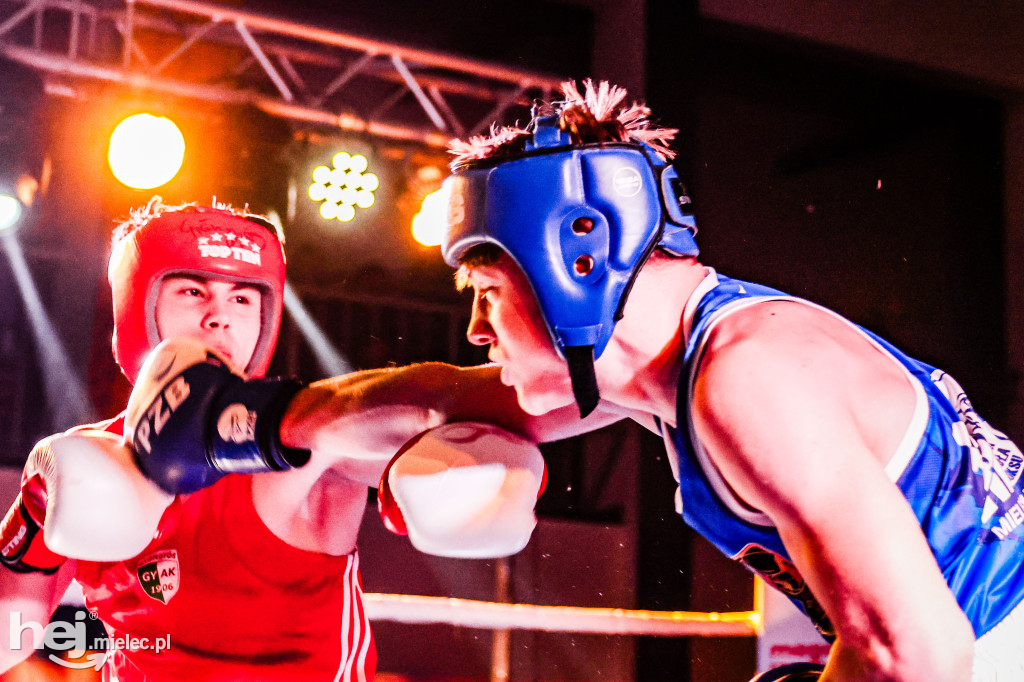 MSB Region Boxing Cup