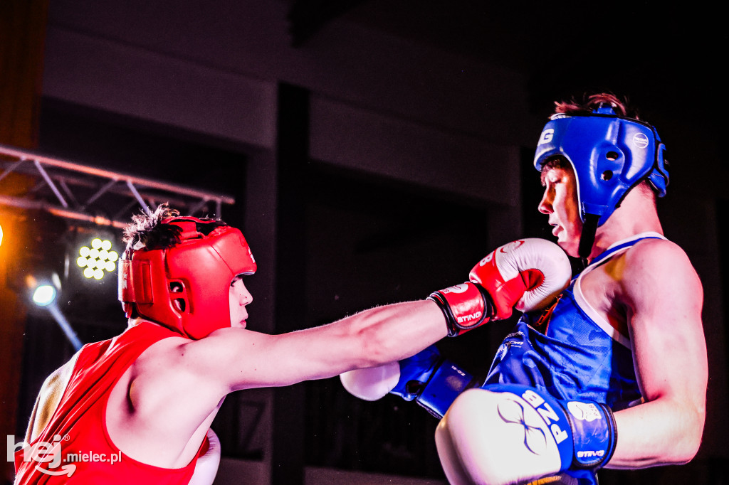 MSB Region Boxing Cup