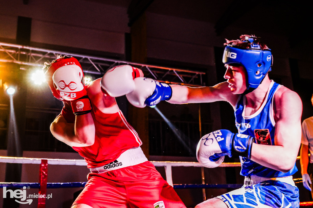 MSB Region Boxing Cup