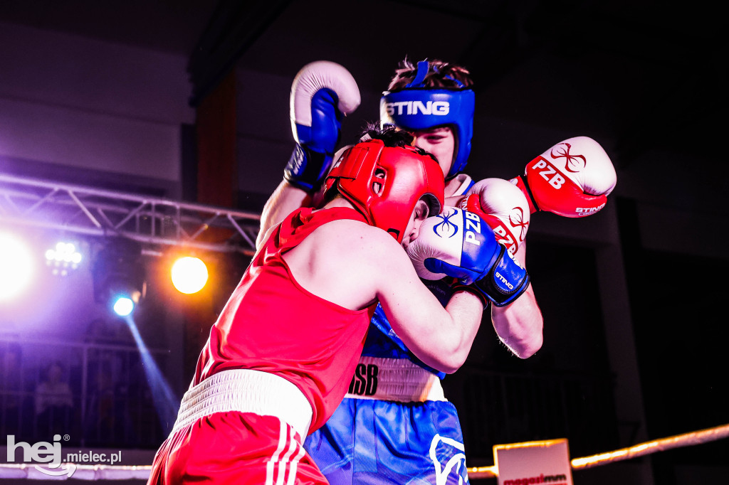 MSB Region Boxing Cup