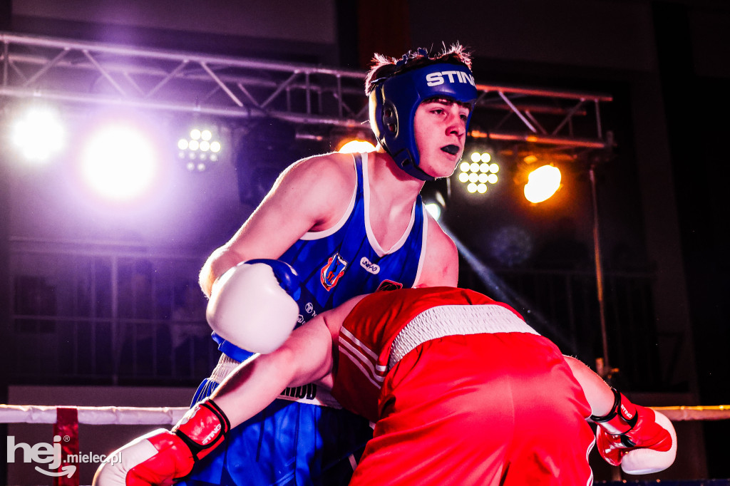 MSB Region Boxing Cup