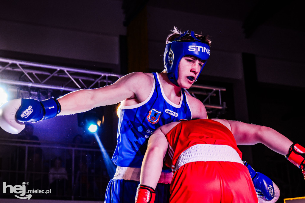 MSB Region Boxing Cup