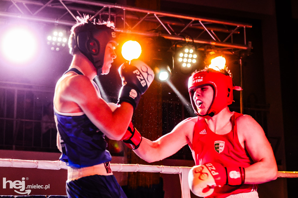 MSB Region Boxing Cup