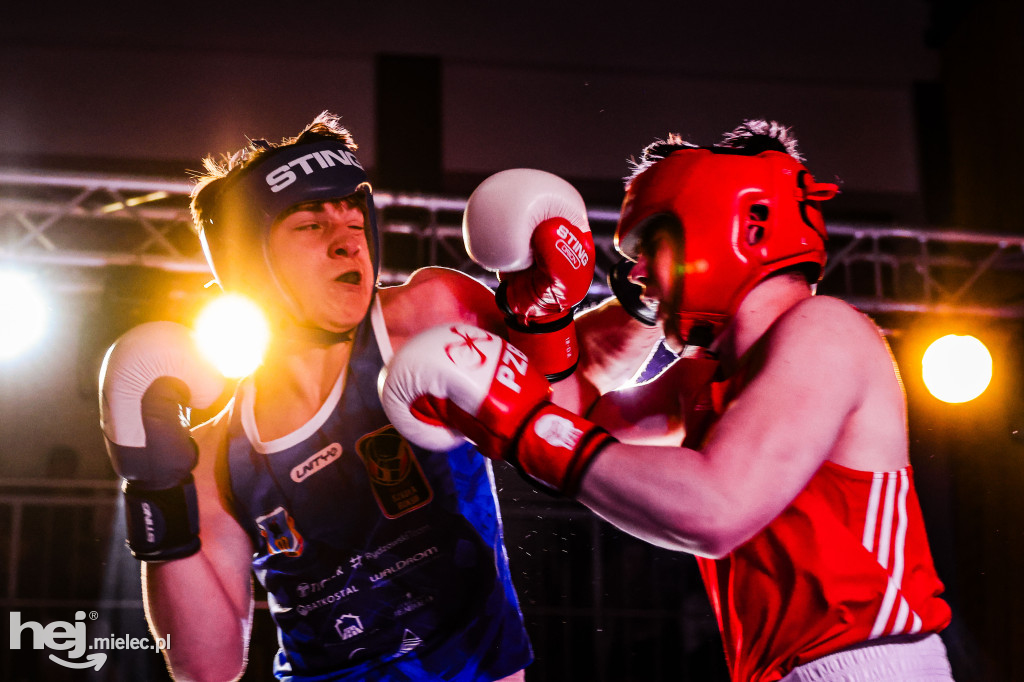 MSB Region Boxing Cup