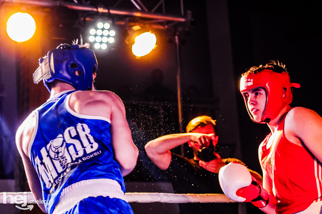 MSB Region Boxing Cup